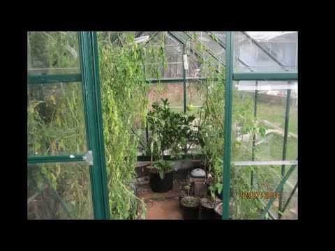 Hydroponic GreenHouse Fall-Winter 2014