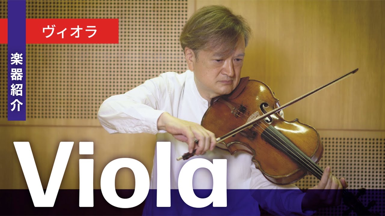 Introducing the Viola: A fun and informative exploration of the