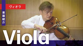Introducing the Viola: A fun and informative exploration of the