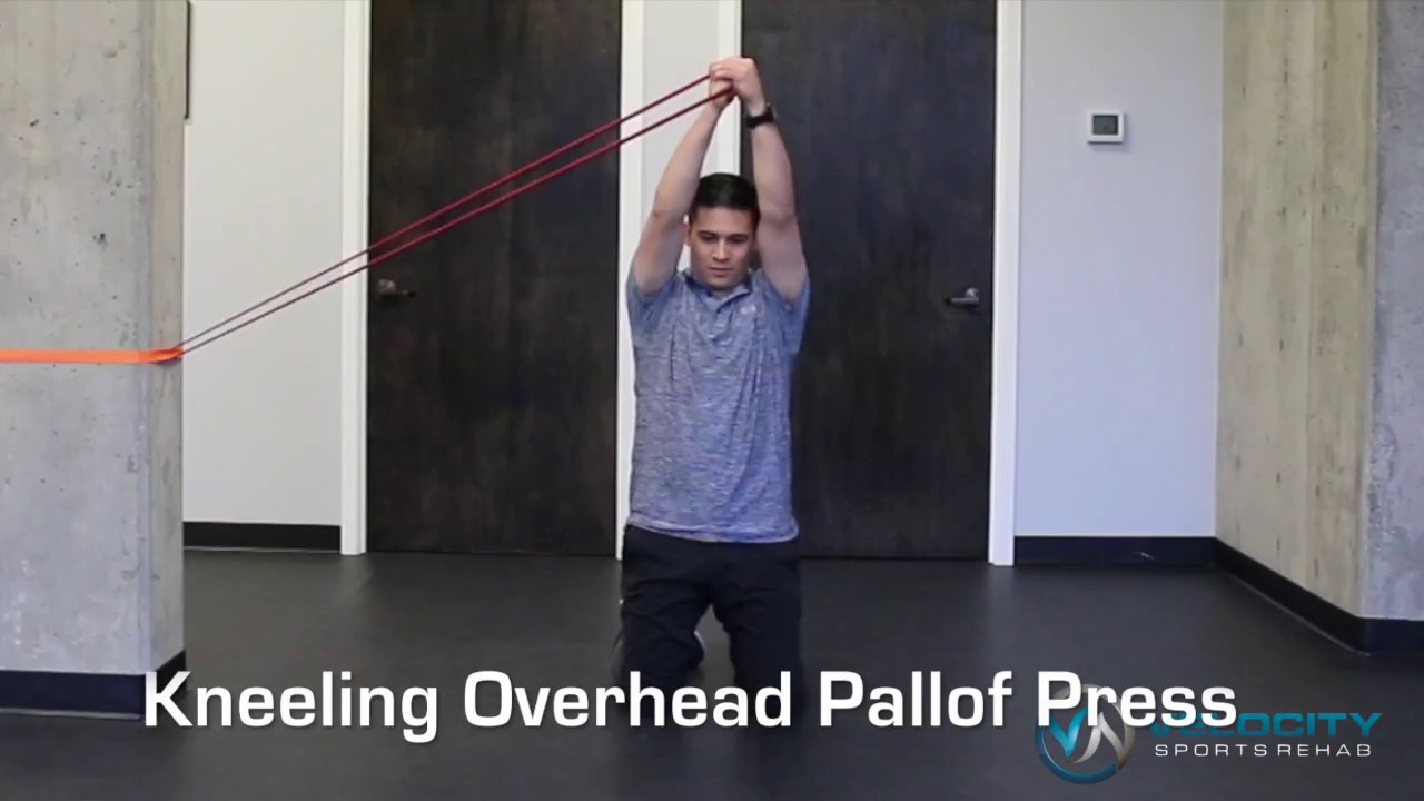 Kneeling Overhead Pallof Press for Core Strength YouTube