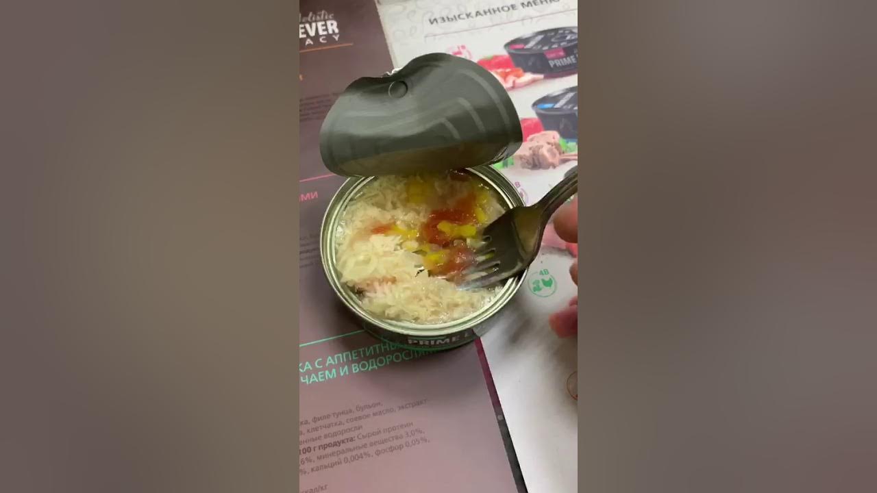 дуриан пробуют отзывы видео. чендлер mrbeast. пробуют отзывы. пробуют отзывы. пробуют отзывы.