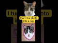 From Photo to Cozy Art: Custom Cat Portrait Rug #tufting #tuftingart #homedecor