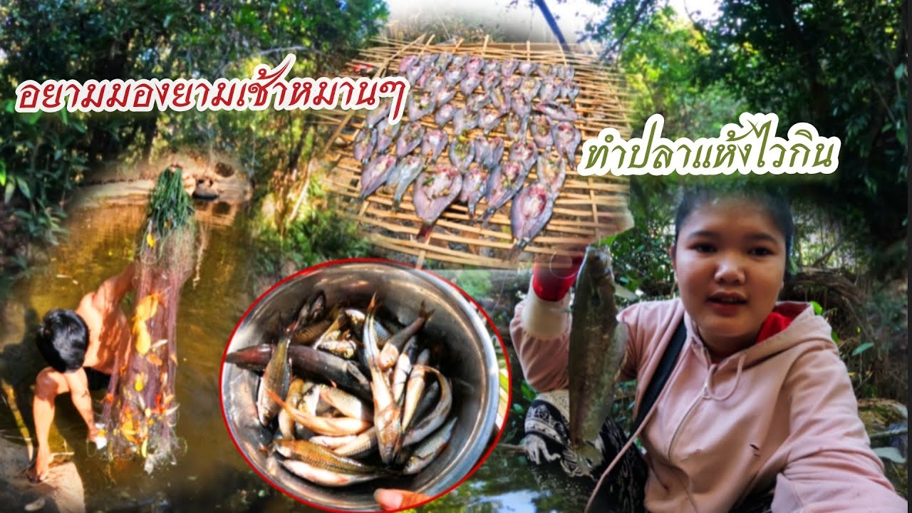 18 กุมภาพันธ์ ค.ศ. 2026อยามปลาเบ็ดปลามองกับบ่าวทอนตอนเช้าหมานสุดๆ//ຍາມປາເບັດປາມອງຕອນເຊົ້າຫມານສຸດໆ