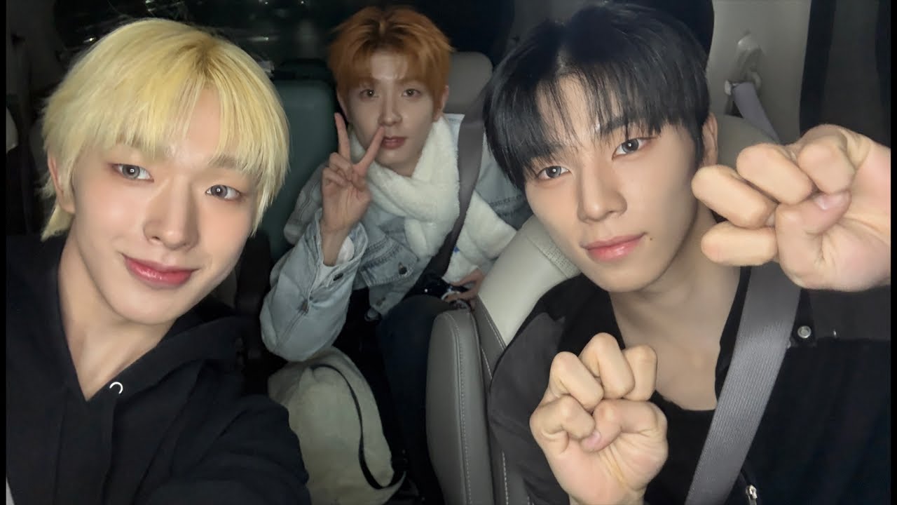 Ride the Car #4 🐧🐾🦦 - YouTube