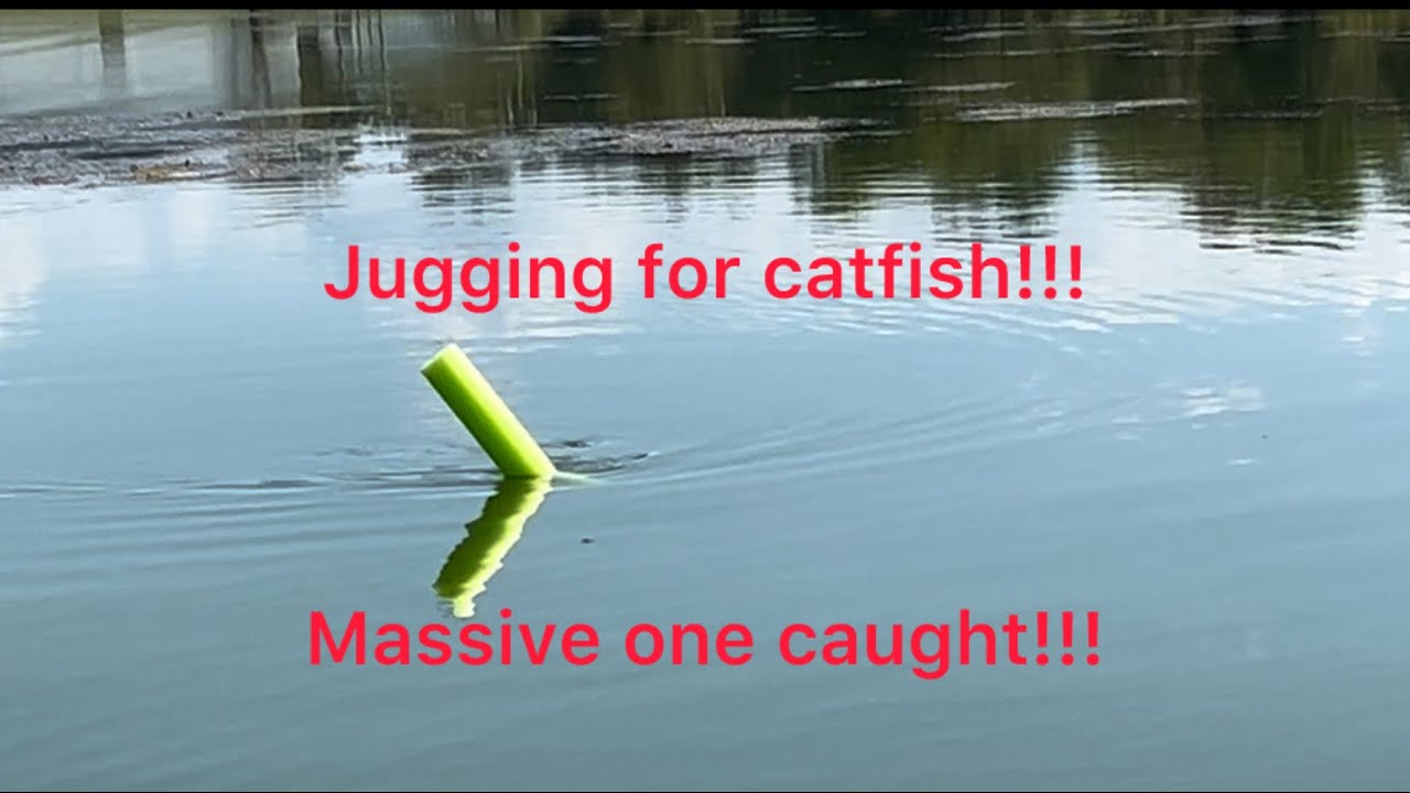 Jugging for catfish!!! ( with noodle’s ) 