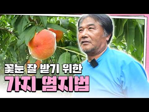 꺾거나 비틀지 말고 지긋이 눌러라