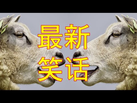 一级棒棒, 超级笑话大全 - Ep 3 - 最新笑话 - 爆笑笑话段子 - 幽默开心 - 冷笑话 - 夫妇笑话!  哈哈哈! 笑一笑~紓解你一天的疲憊. 笑笑没烦恼
