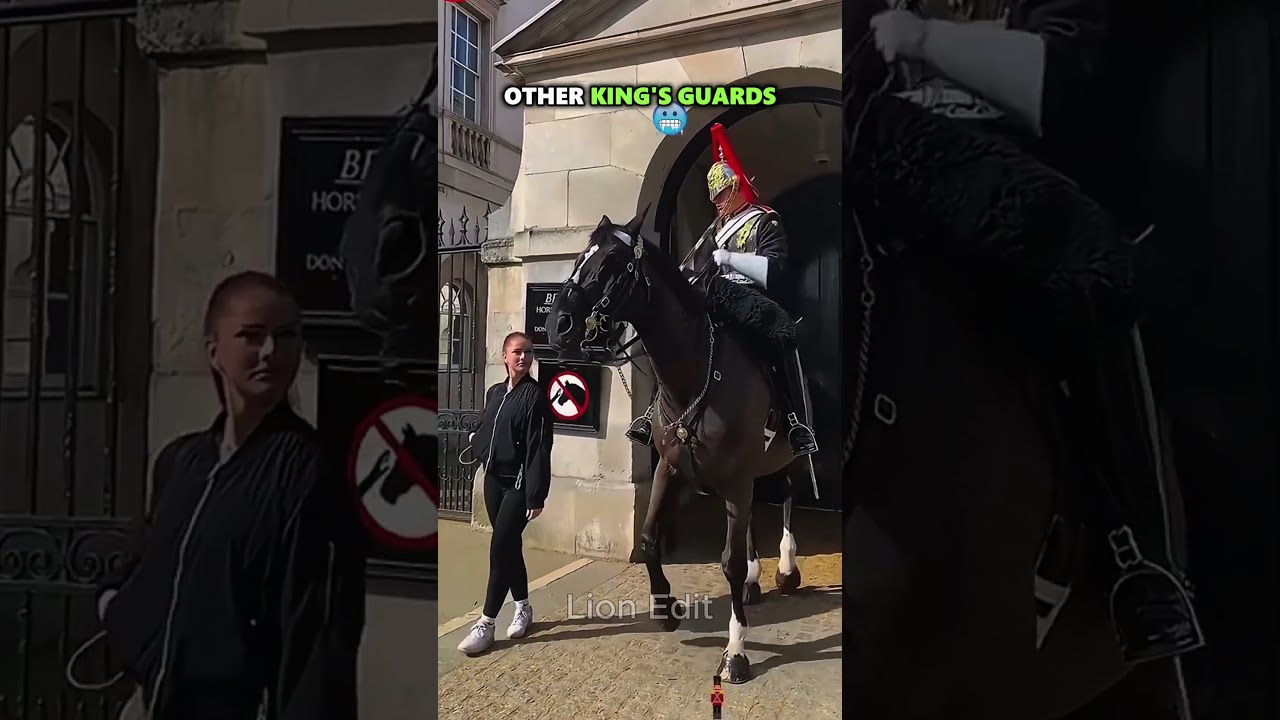 Others King S Guard VS Last One Usa Sigma Edit