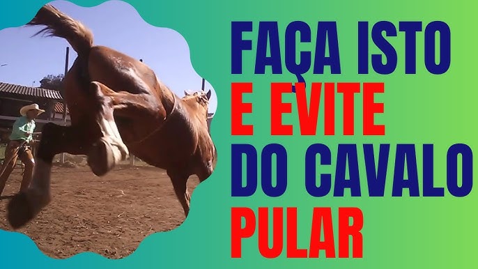 O que fazer em uma situação que o cavalo pula com você em cima