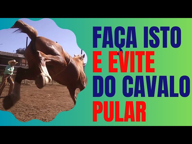 Homem e cavalo pulando uma cerca, placa 643 de &39;Animal