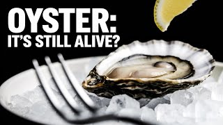 The Shocking Truth About Raw Oysters: They’re STILL ALIVE When You Eat Them!