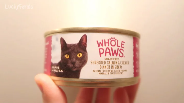 Whole Paws Cat Food Review and Cat Taste Test