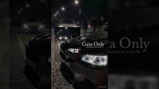 Gata Only - Floyymenor feat. Cris Mj (speed up)