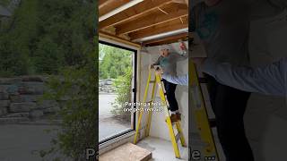 Patching a hole… one pest remains