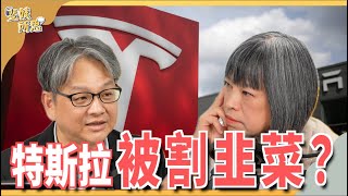 特斯拉裁員表示榮耀不再比亞迪真的有辦法輾壓美國車廠嗎 ft.中經院副研究員 戴志言 | 斐姨所思【阿姨想知道】 EP158