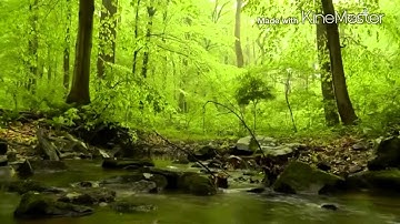 تلاوة رائعة  تأسر الألباب .. سهام الدعوة..