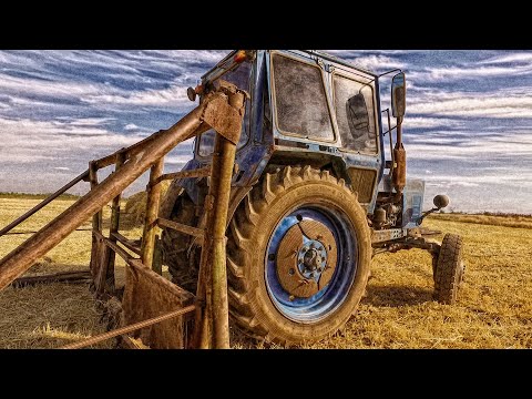 Video: Dmitri Zhuravlev: Tərcümeyi-hal, Yaradıcılıq, Karyera, şəxsi Həyat