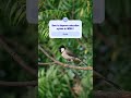 #canonr8 #birds #education #cjp #apjabdulkalamquotes #school #indiaeducation #educationminister