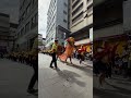 黃頭獅獅頭好可愛
