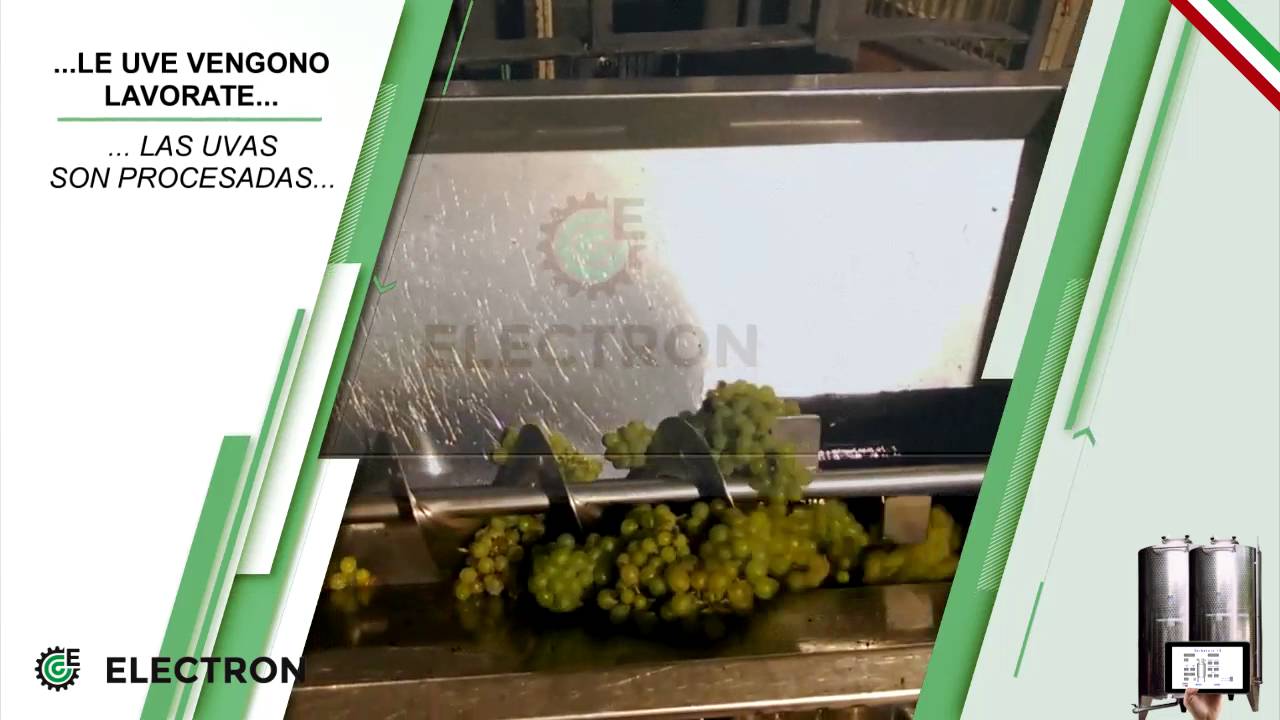 ELECTRONWEB VIDEO CONTROLLO PROCESSO VINIFICAZIONE 2016