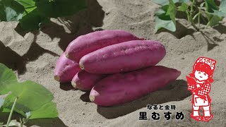 【PV】里むすめ