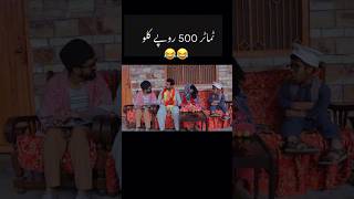 Tamater 500 kelo 😂😂 #pashtofunny #pashtocomedy #comedy #funny #mamoo #bpvstar
