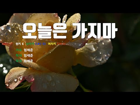 [은성 반주기] 오늘은가지마 - 임세준