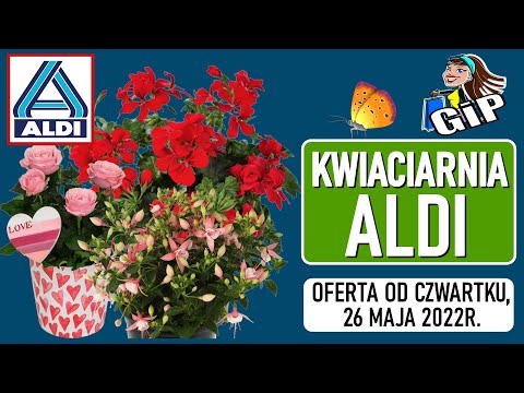 ALDI | Oferta