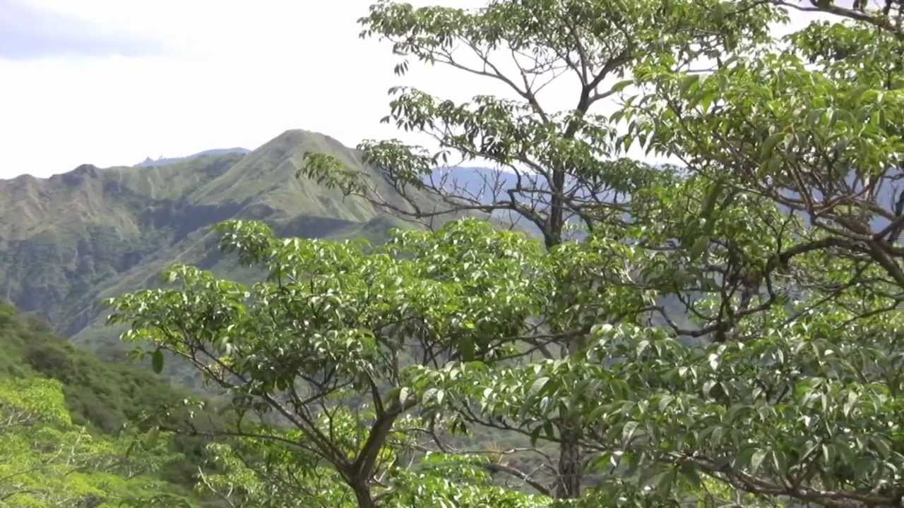 Ecuador Real Estate for Sale in Malacatos