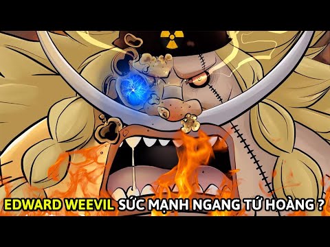 Video EDWARD WEEVIL: Sức Mạnh Ngang TỨ HOÀNG? WEEVIL Là... - youtube