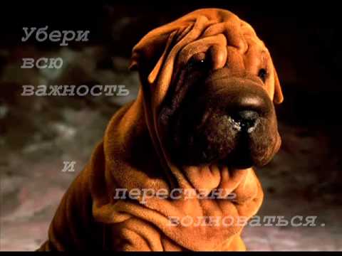 Персональный коучинг. Как поднять настроение Персональный коучинг. Как поднять настроение