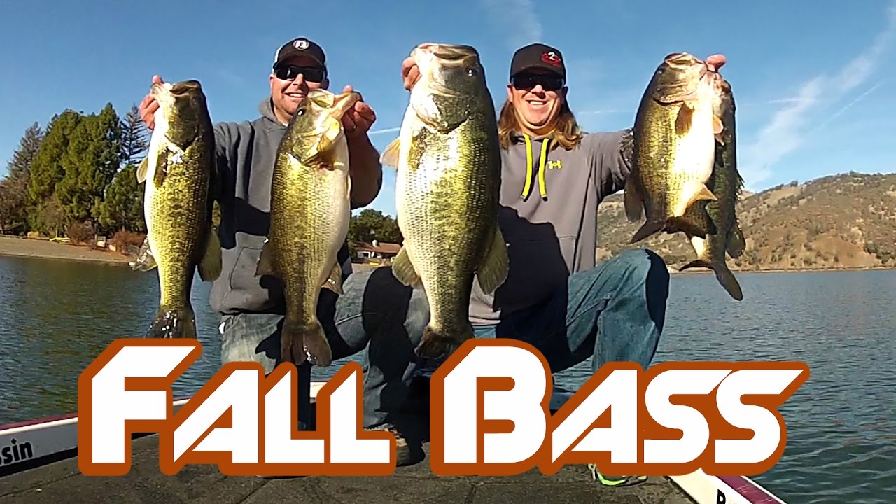 How to Locate BIG BASS in Fall — Tactical Bassin' - Bass Fishing Blog