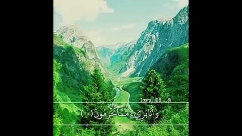 من سورة هود بصوت إسلام صبحي . راحة نفسيّة