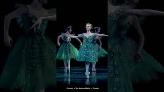 The Dream | On Stage Preview