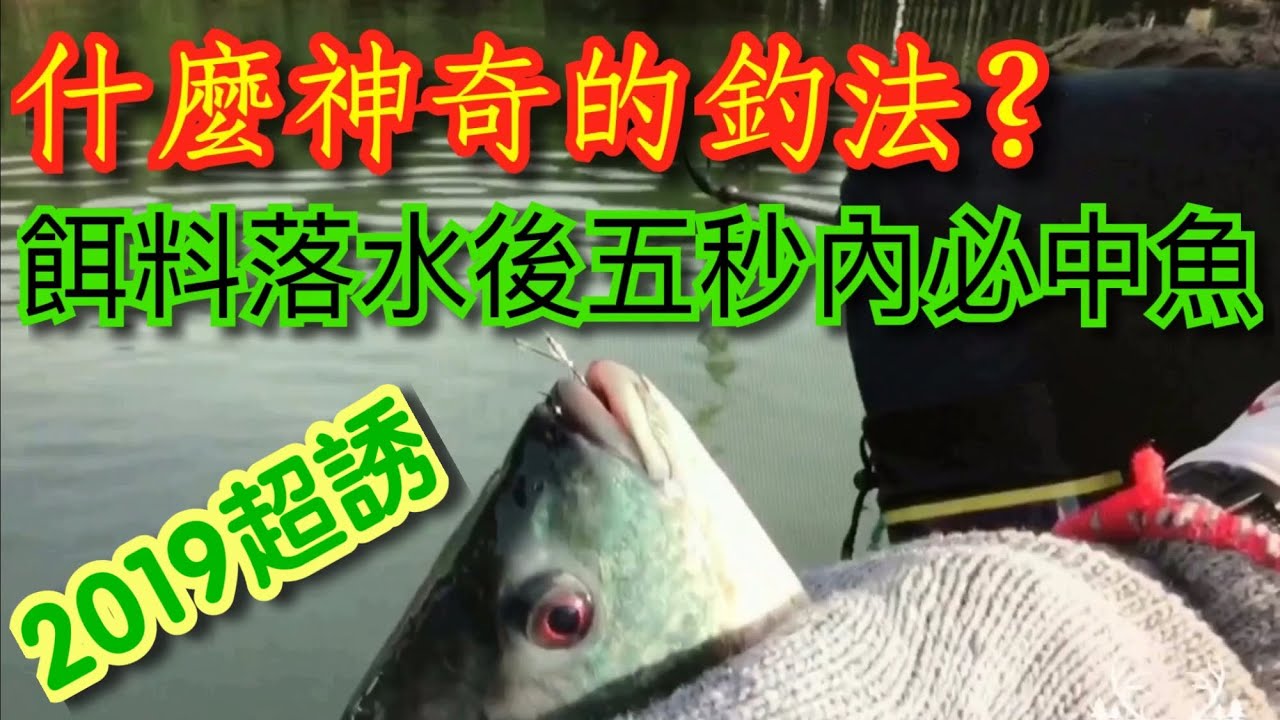 釣魚池釣福壽魚（什麼神奇的釣法？餌料落水五秒內必中魚！）休閒池、火車龍的訊號判讀、雙鉤併、超級水霧誘餌、粒子拉毛、玩超快手操作空爆、攻水車、空中快速解魚技、操作心法分享！2019.7.28酷夏