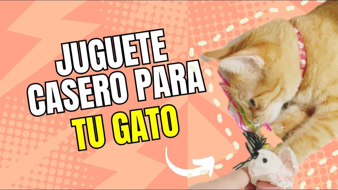 HICE UN RATONCITO DE JUGUETE A MI GATITO ACOMPAÑAME A VER COMO LO HICE