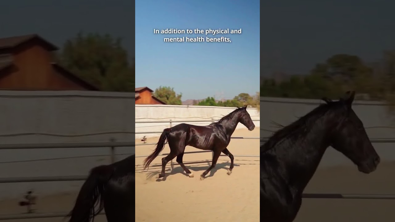 Are you aware of the health benefits of having a horse? 