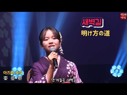 새벽길(아즈마 아키) / 明け方の道(東亜樹)