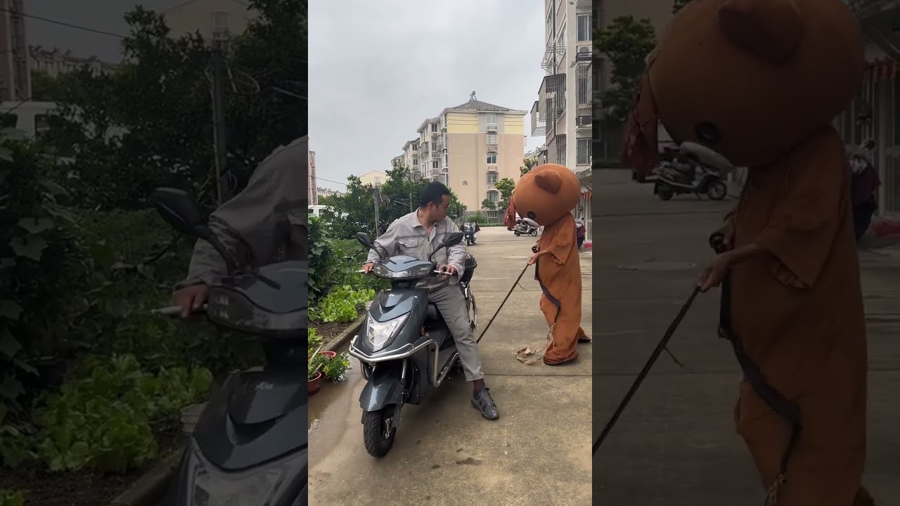 Come here if you have the ability, Pippi Bear, watch it again and laugh again