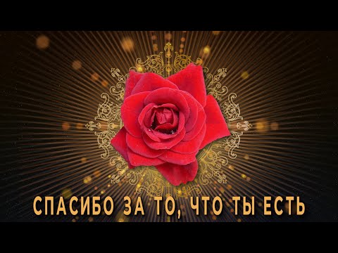 💗Спасибо за то, что ты есть💗