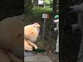 お手伝いならおまかせくださいっ☆