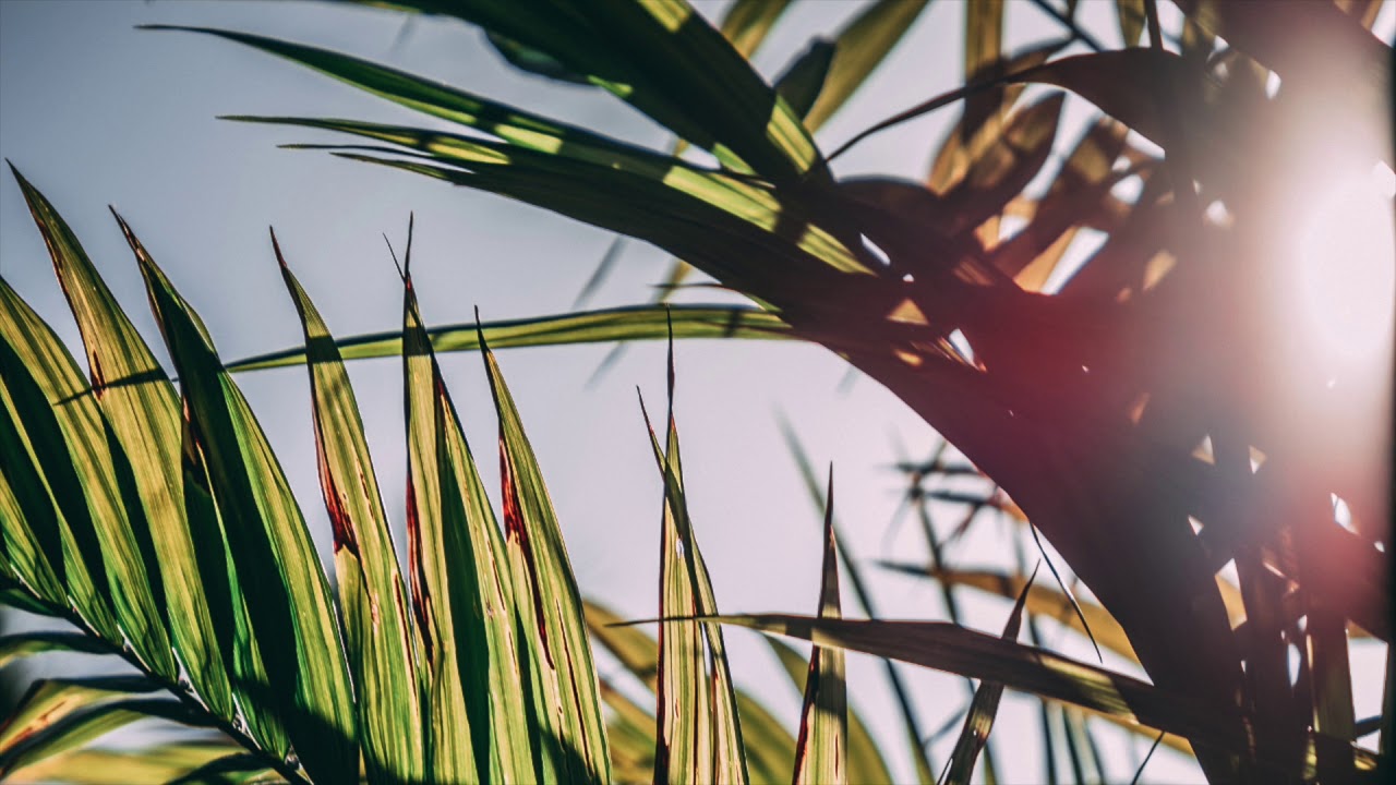 (FREE) Playboi Carti x Lil Uzi Vert Type Beat 2019 - "Vibe" | Free Beat | Melodic Trap Instrumental