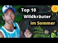 Essbare Wildkräuter im Sommer: Meine Top 10 Heilpflanzen inkl. Gundermann, Brennnessel uvm. Mp3 Song