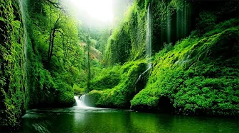 Relaxing Music to Rest the Mind, Stress, Anxiety, Meditation, Relax and Sleep