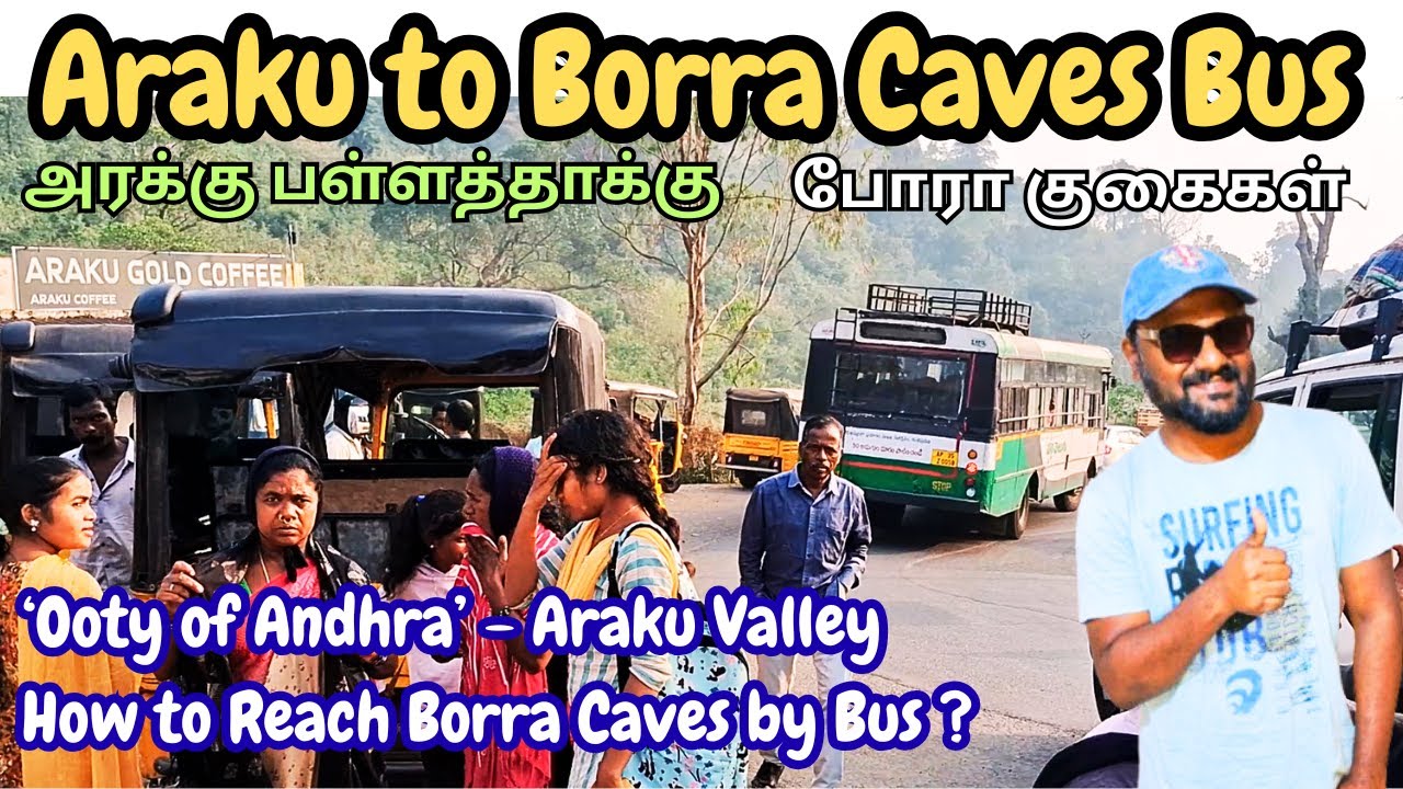Araku To Borra Caves Bus Travel | How to Reach Borra Caves by Bus | Scenic Araku Valley Bus Route