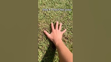 How to touch grass! (For Beginners) #tutorial#grass #viral #trend #shorts