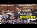 2023年6月8日【国民民主党】榛葉 賀津也　外交防衛委員会「コーヒー・漁業・シンガポール3条約」