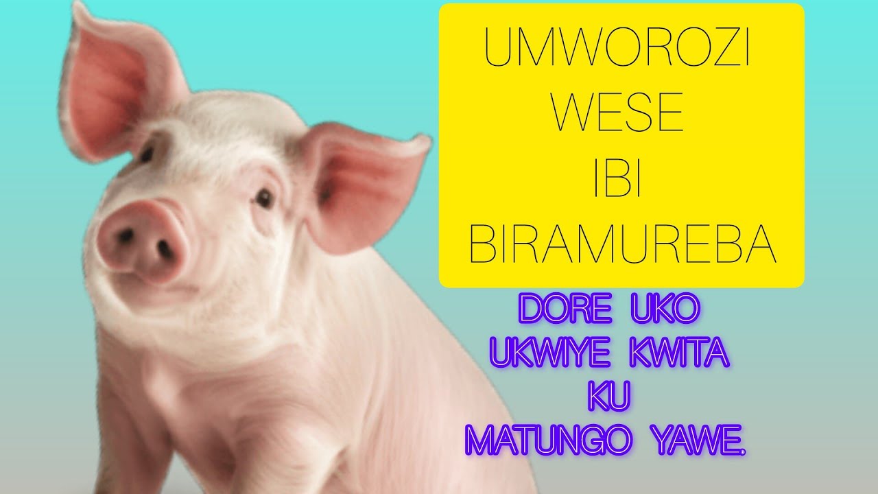 IBINTU 5 UMWOROZI AKWIYE KUMENYA.