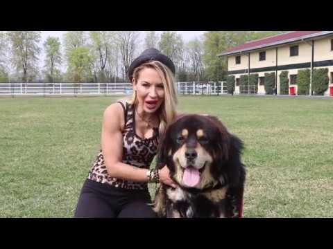 Video: Cane Mastino Tibetano Razza Di Cane Ipoallergenico, Salute E Durata Della Vita