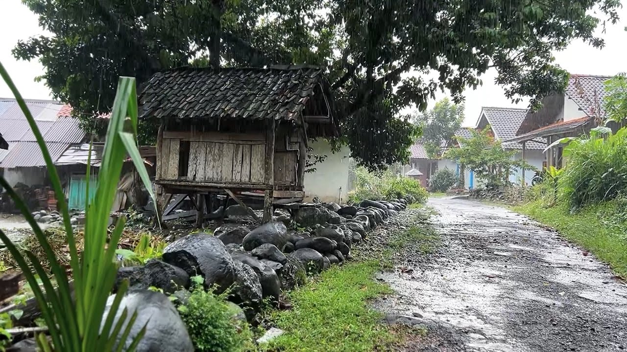 Дождь в зеленой и красивой сельской местности Индонезии||приятная атмосфера